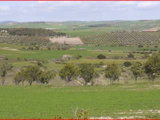 Terreno agricolo all'asta a gesico strada comunale mandas guasila