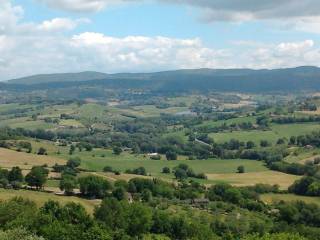 Intero stabile in vendita a otricoli strada acquabona