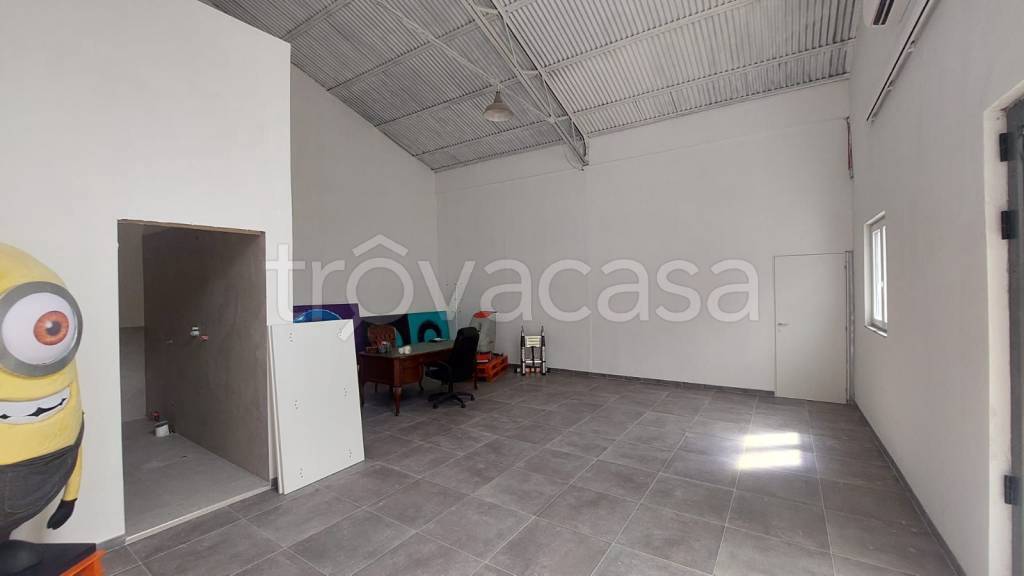 immagine annuncio 9 di 11