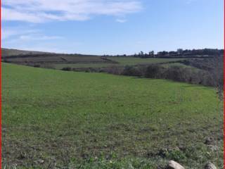 Terreno agricolo all'asta a villanovafranca sp36