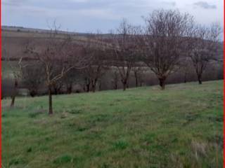 Terreno agricolo all'asta a villanovafranca sp36