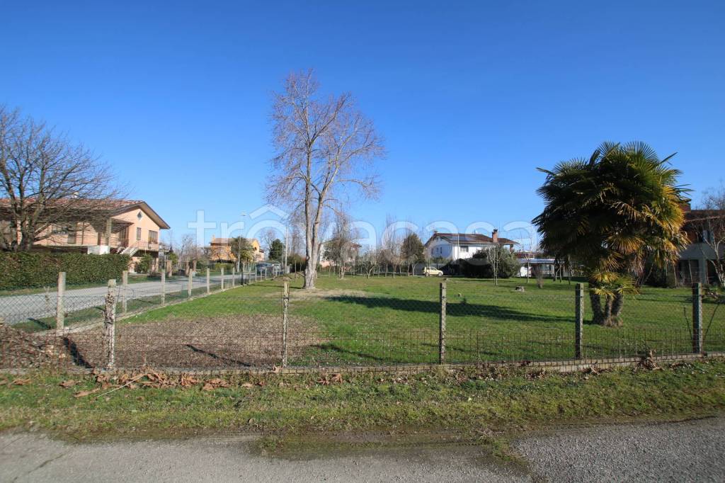 immagine annuncio 4 di 8
