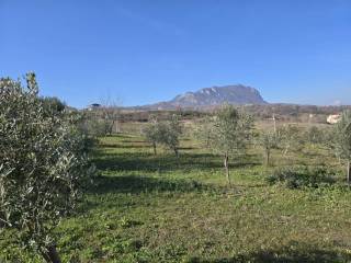 Terreno agricolo in vendita a montemarano via santo stefano