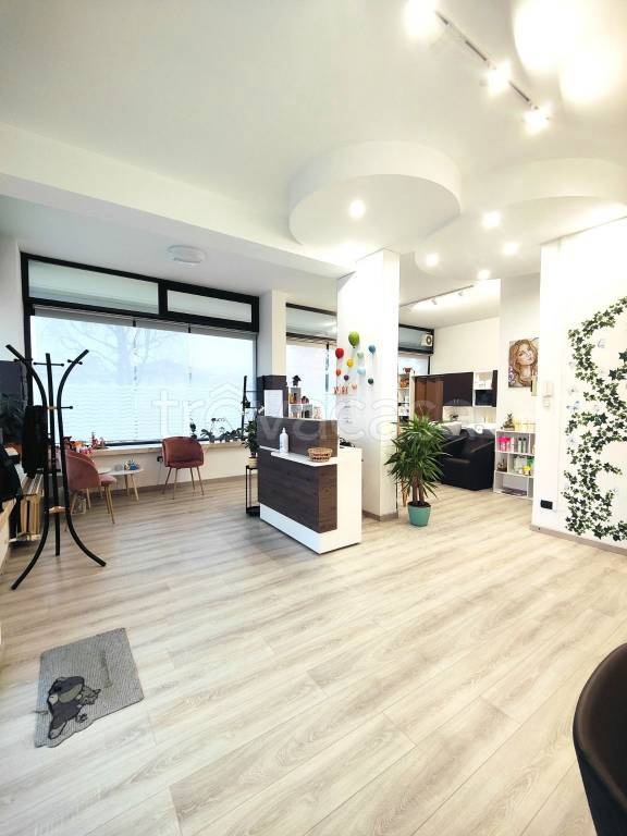 immagine annuncio 2 di 6