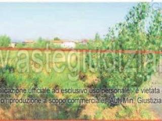 Terreno agricolo all'asta a montale località dore - tra via enzo nesti e via vittime delle foibe