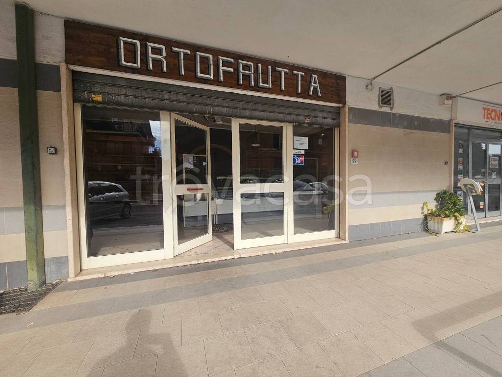 immagine annuncio 11 di 12