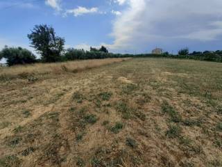 Terreno agricolo all'asta a sant'elpidio a mare strada valle del profico