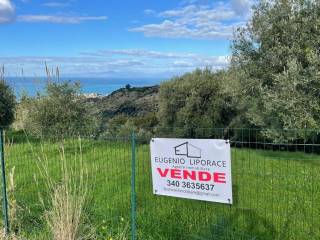 Terreno agricolo in vendita a diamante cammarotea di cirella s.n.c.