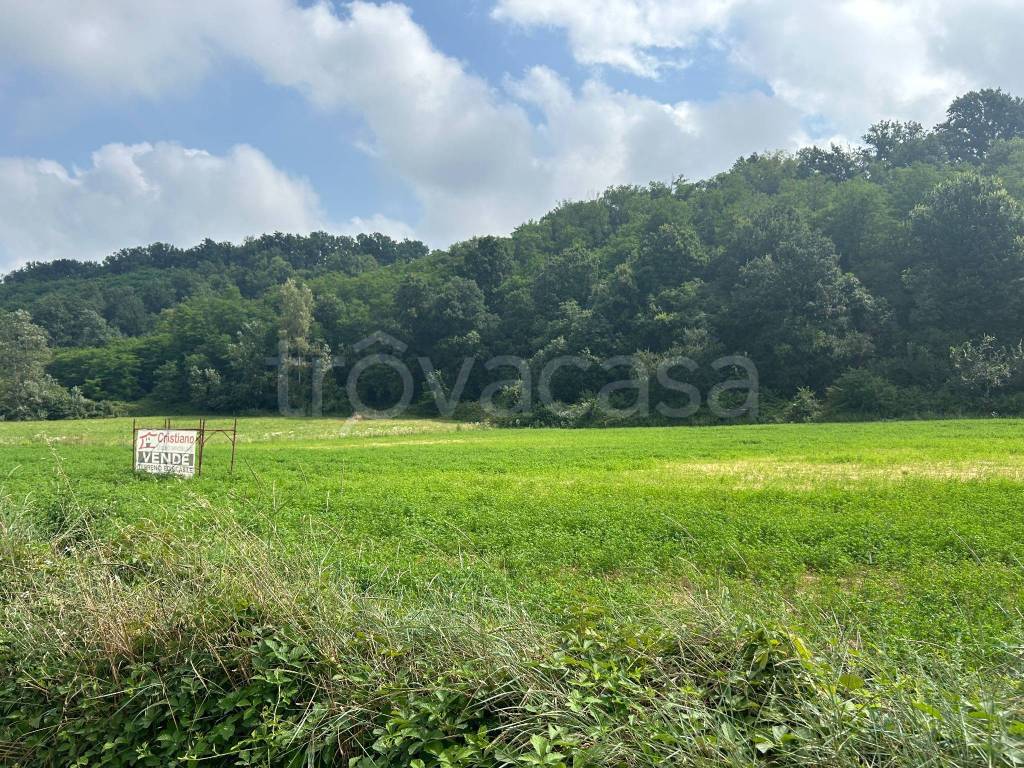 immagine annuncio 10 di 12