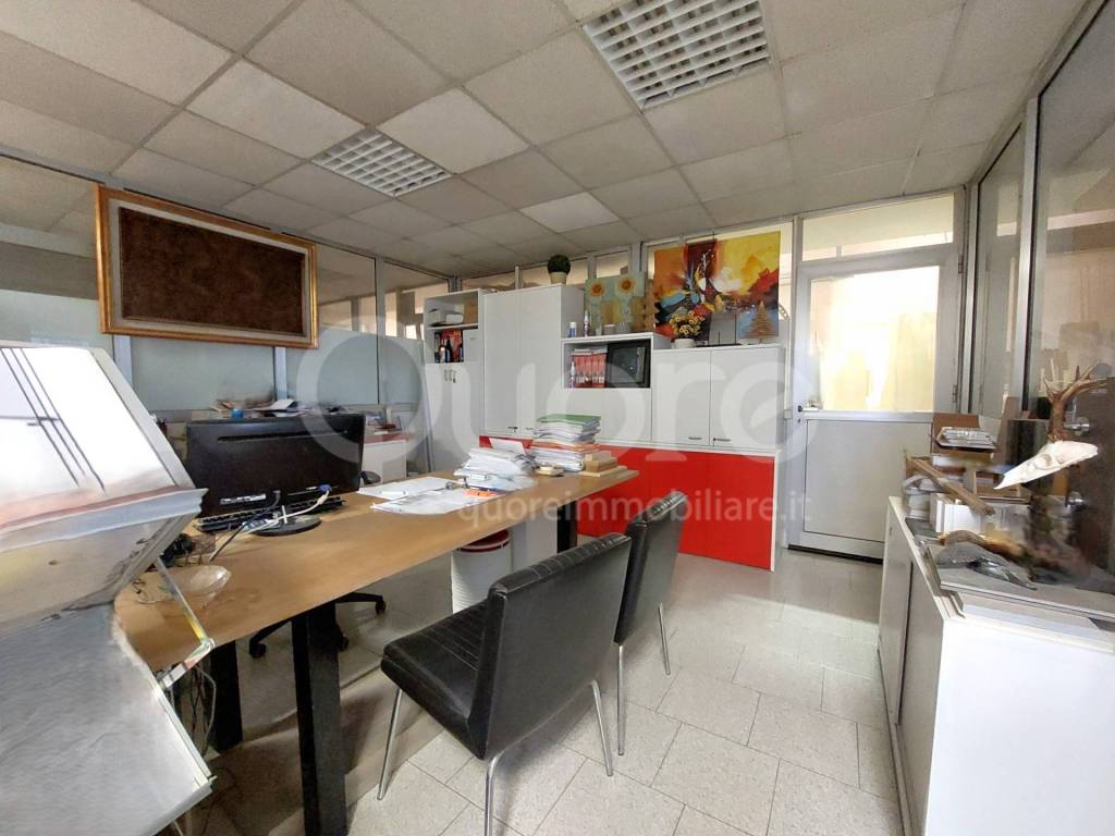 immagine annuncio 5 di 14