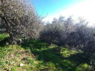 Terreno agricolo in vendita a ventimiglia via sant'anna