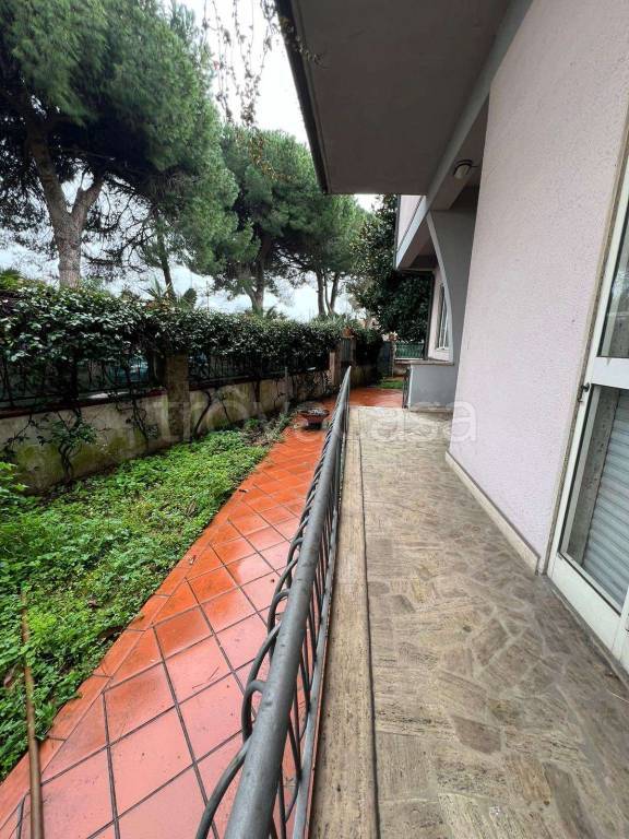 immagine annuncio 5 di 6