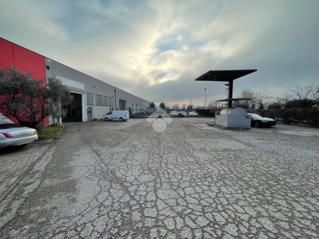 immagine annuncio 8 di 15