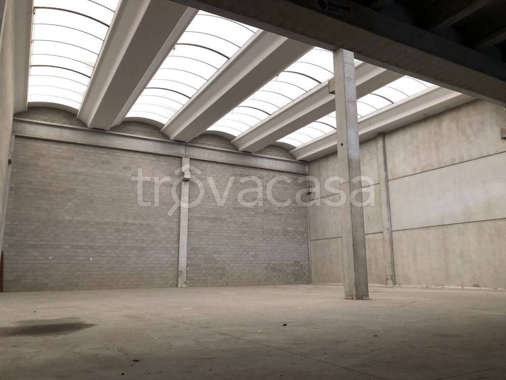 immagine annuncio 3 di 9