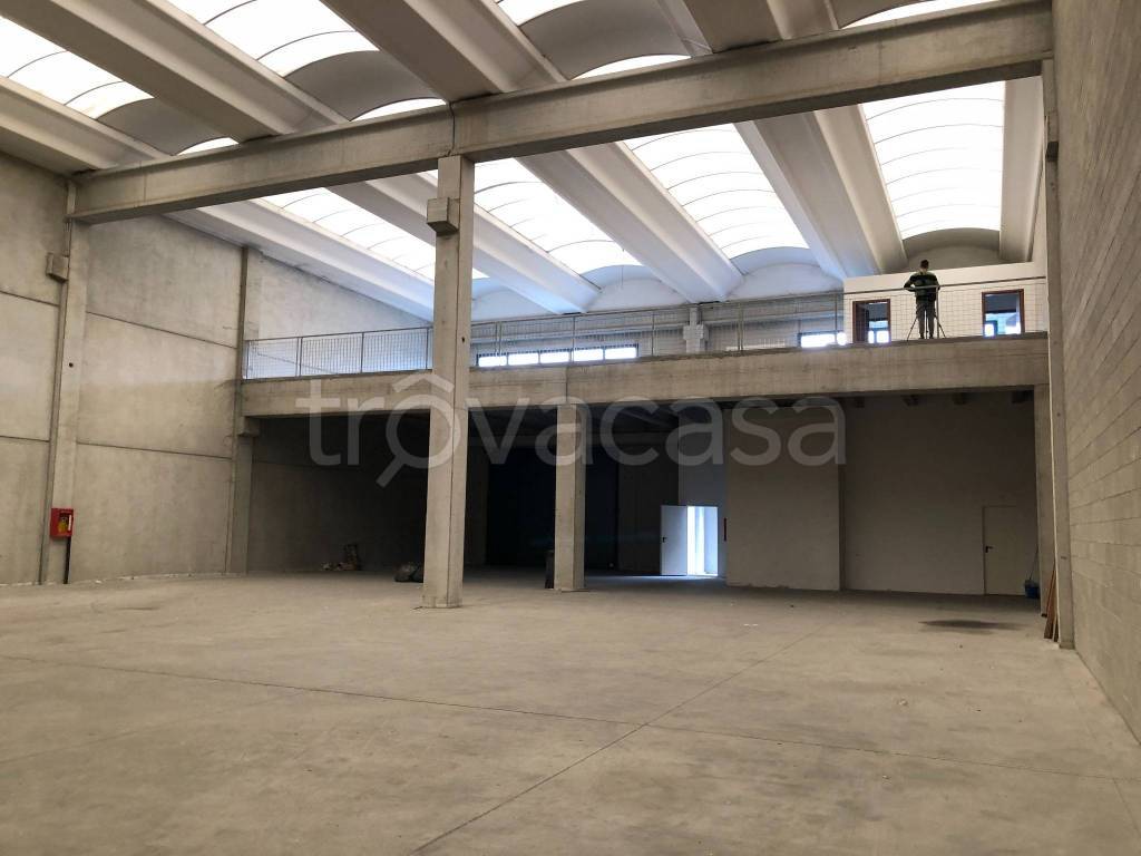 immagine annuncio 4 di 8