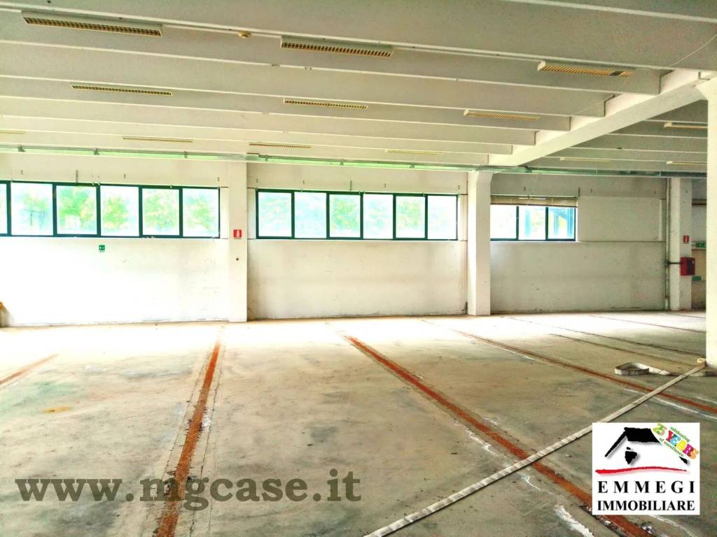immagine annuncio 8 di 12