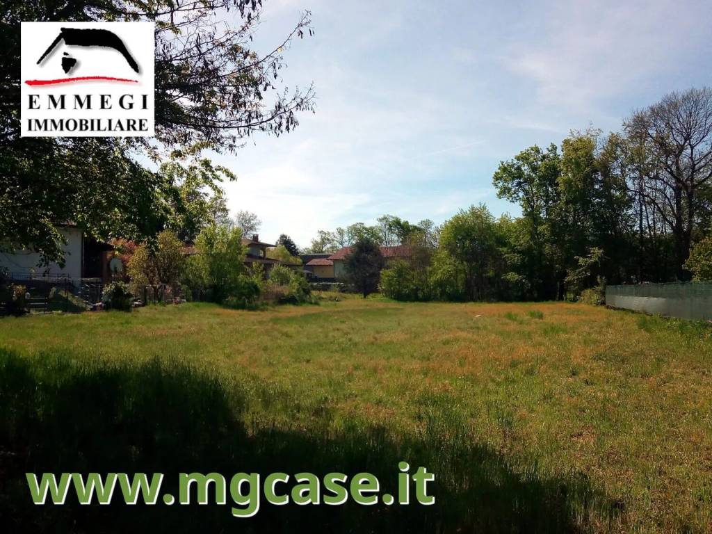 immagine annuncio 2 di 6