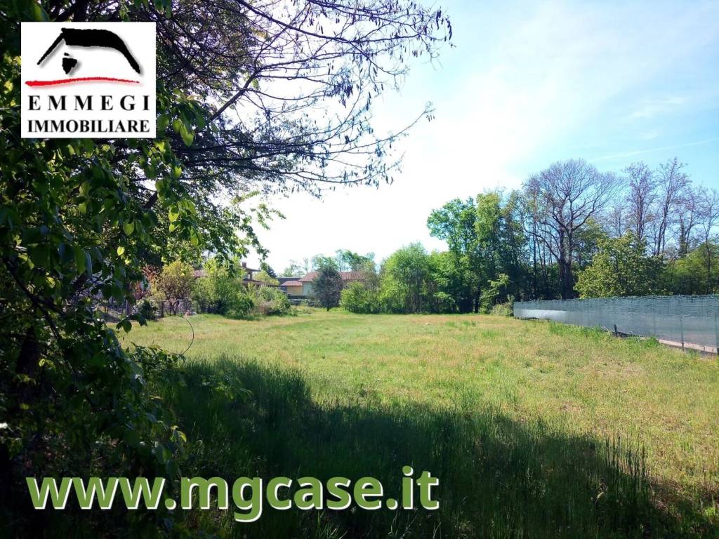 immagine annuncio 5 di 6