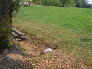 Terreno agricolo all'asta a sarcedo via calcara