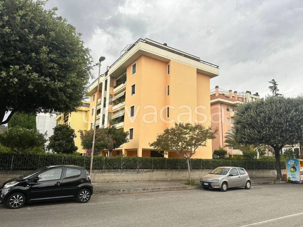 immagine annuncio 2 di 13