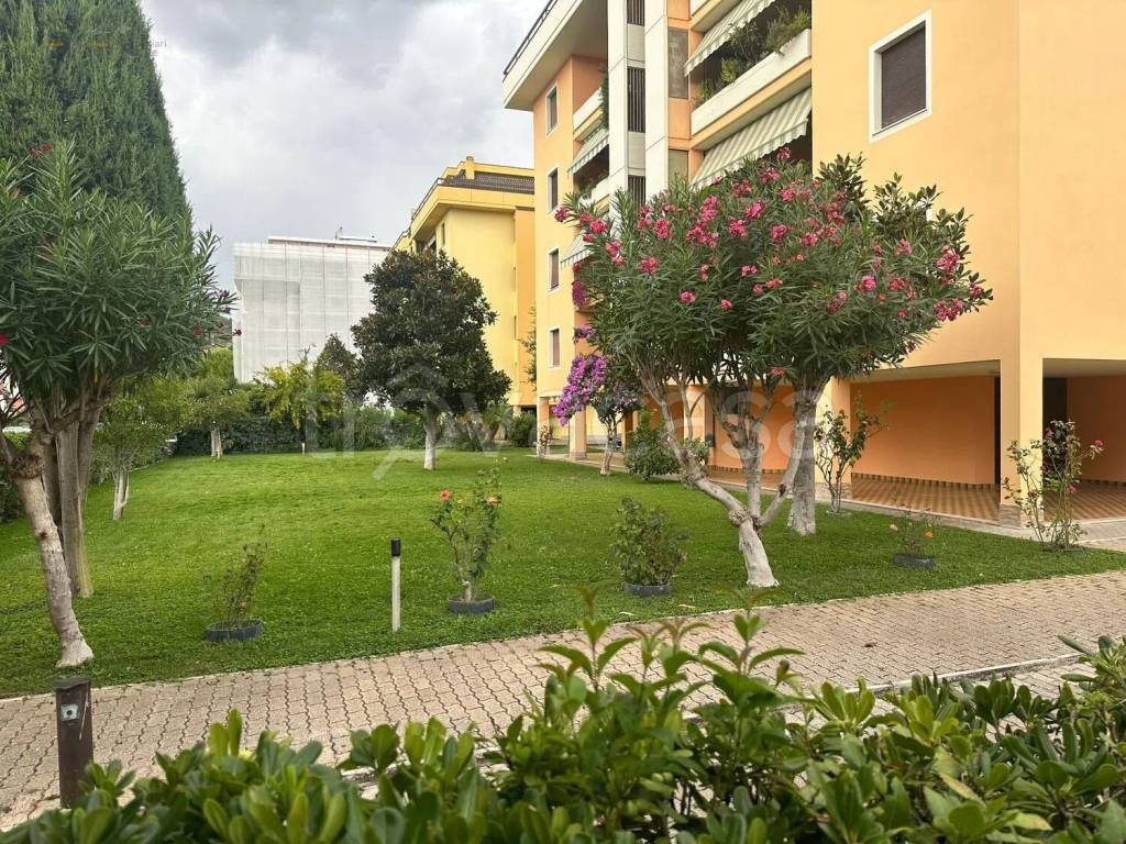 immagine annuncio 3 di 13