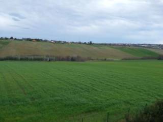 Terreno agricolo in vendita a termoli contrada colle granata