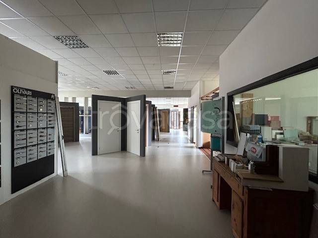 immagine annuncio 3 di 14