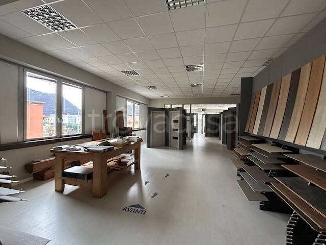 immagine annuncio 11 di 14
