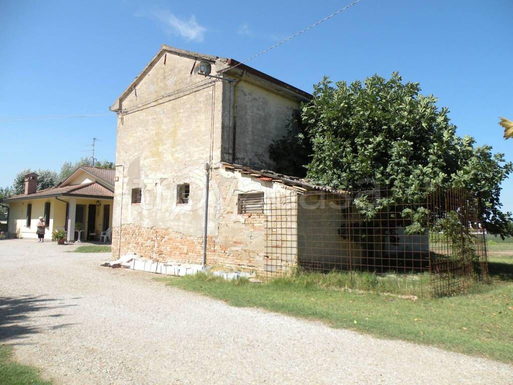 immagine annuncio 3 di 14