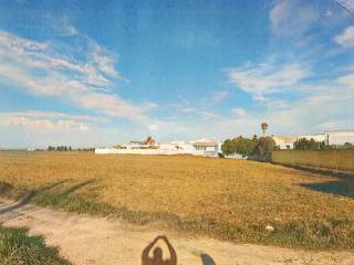 Terreno agricolo all'asta a san pancrazio salentino via luigi settembrini