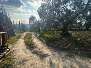 Terreno agricolo in vendita a palombara sabina colle paolaccio