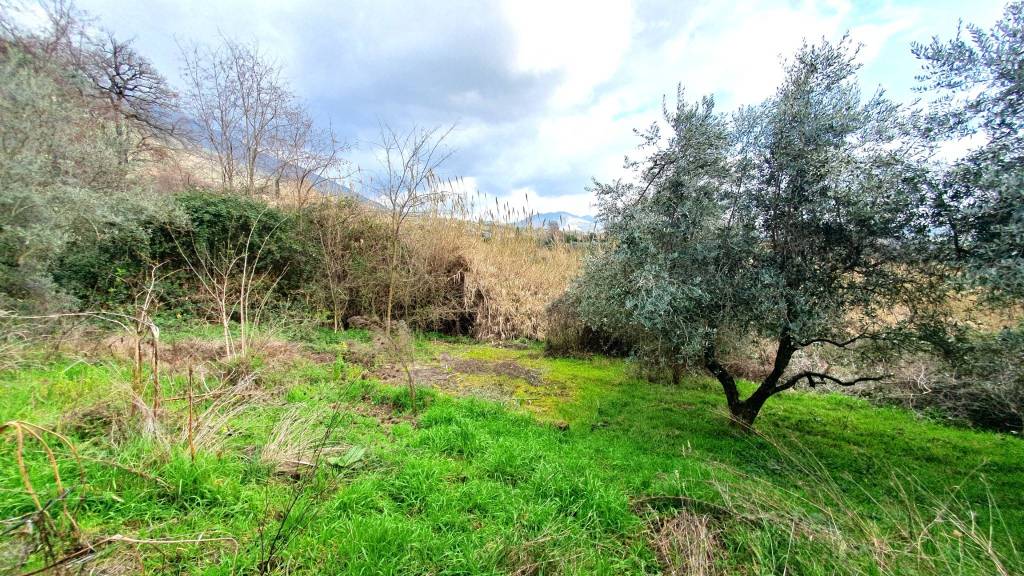 immagine annuncio 2 di 13