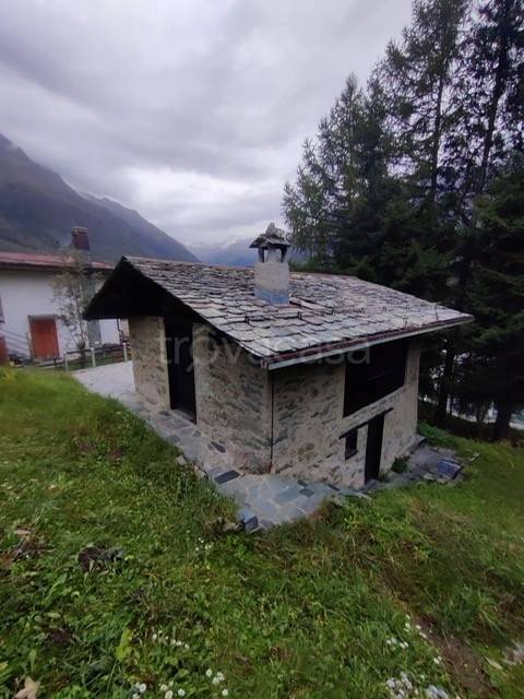 immagine annuncio 8 di 10