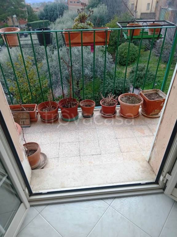 immagine annuncio 12 di 14