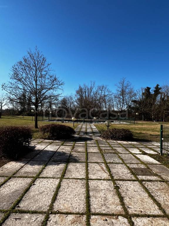 immagine annuncio 9 di 12