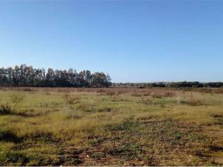 Terreno agricolo in vendita ad alghero 