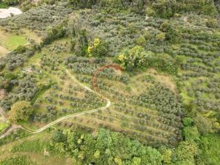 Terreno agricolo in vendita a riva del garda località ceole