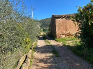 Terreno agricolo in vendita a bagheria strada vicinale parisi 3