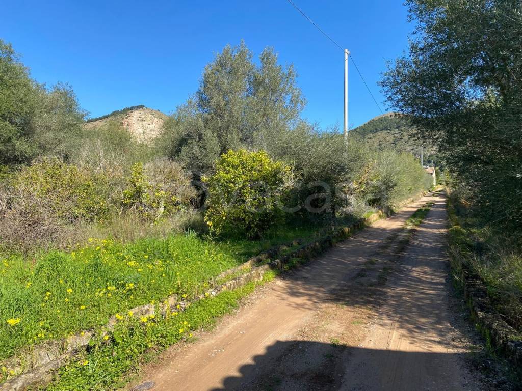 immagine annuncio 6 di 7
