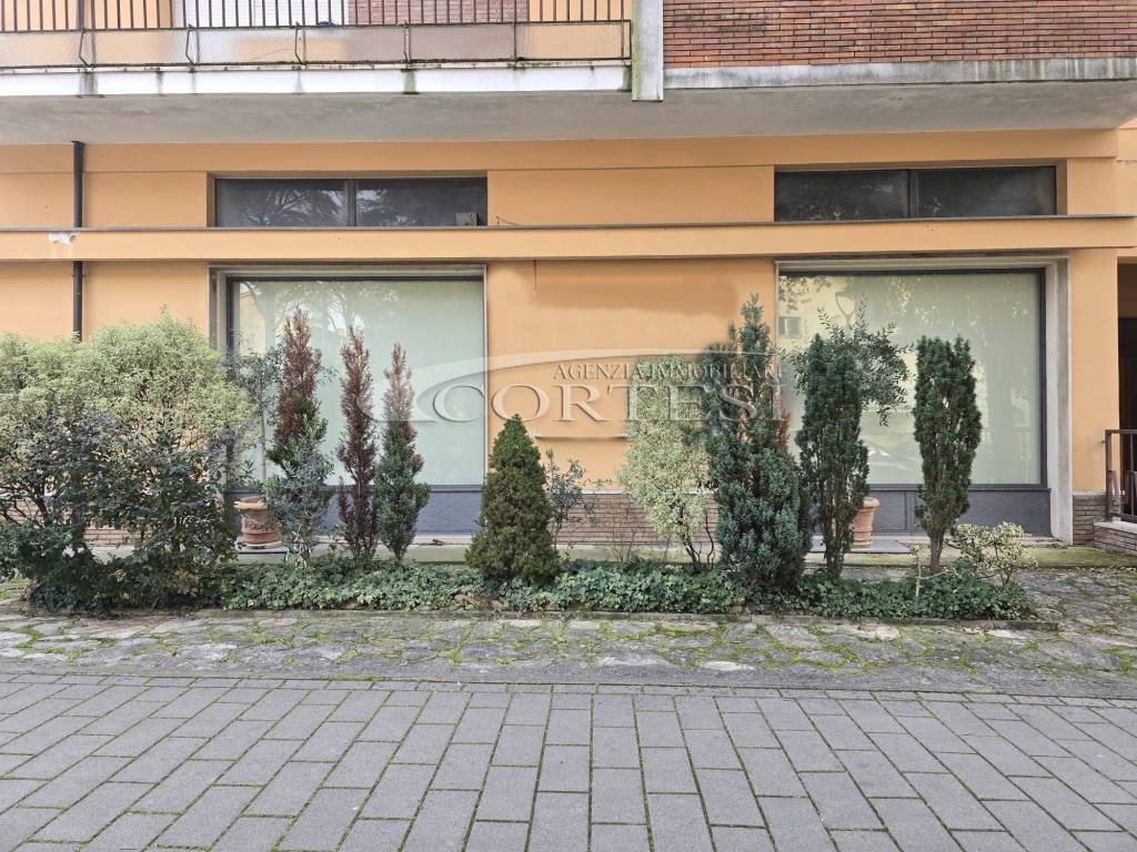 immagine annuncio 1 di 3