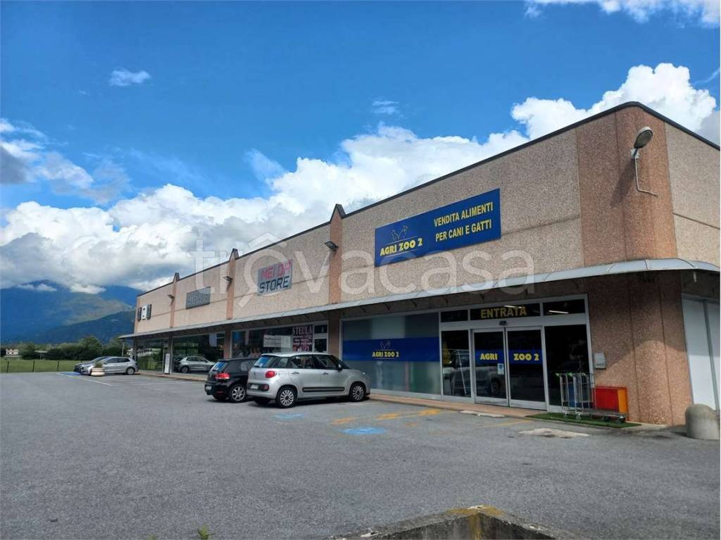 immagine annuncio 2 di 8