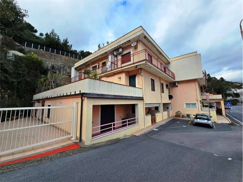 immagine annuncio 12 di 14