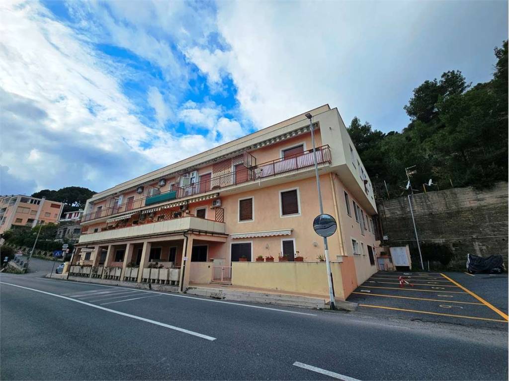 immagine annuncio 13 di 14