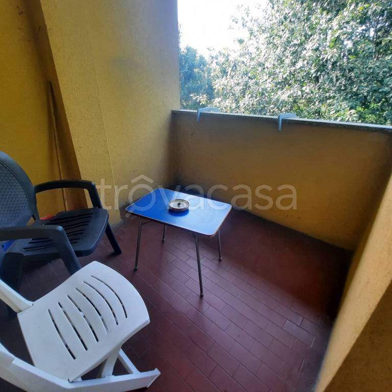 immagine annuncio 6 di 14