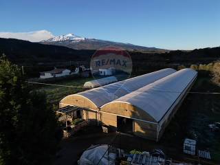 Terreno agricolo in vendita a castiglione di sicilia casale buona terra mia