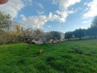 Terreno agricolo in vendita a nemoli giammichele