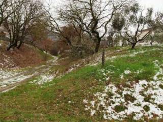 Terreno agricolo all'asta a magione 06063 sant'arcangelo pg, italia