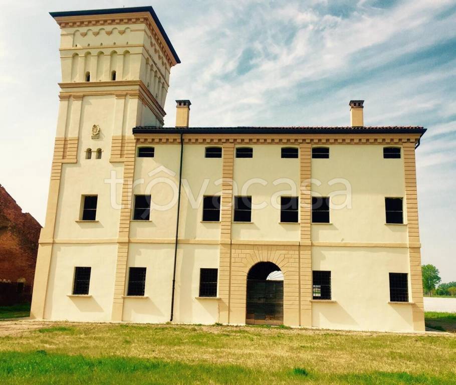 immagine annuncio 1 di 8