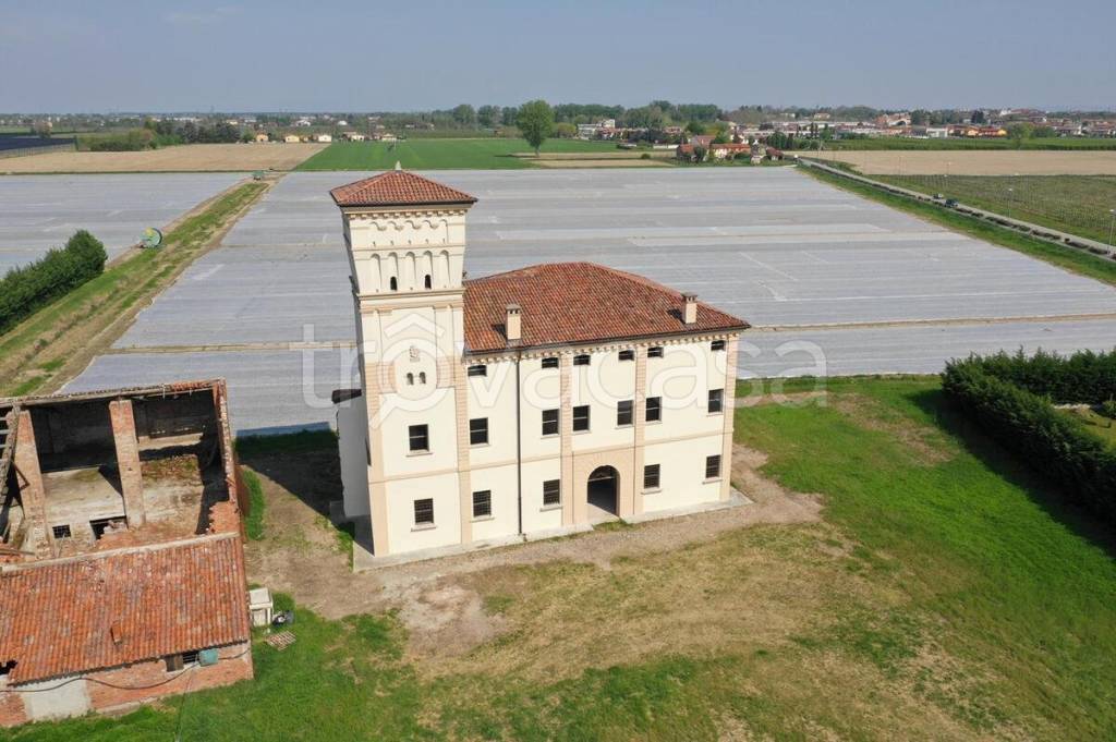 immagine annuncio 7 di 8