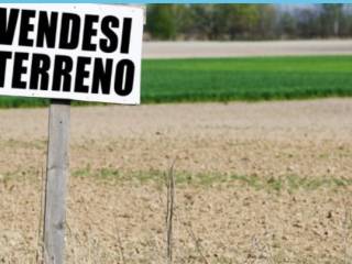 Terreno agricolo all'asta a perugia località villa pitignano